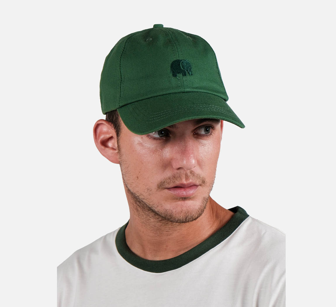 Casquette en coton bio Logo Dad cap