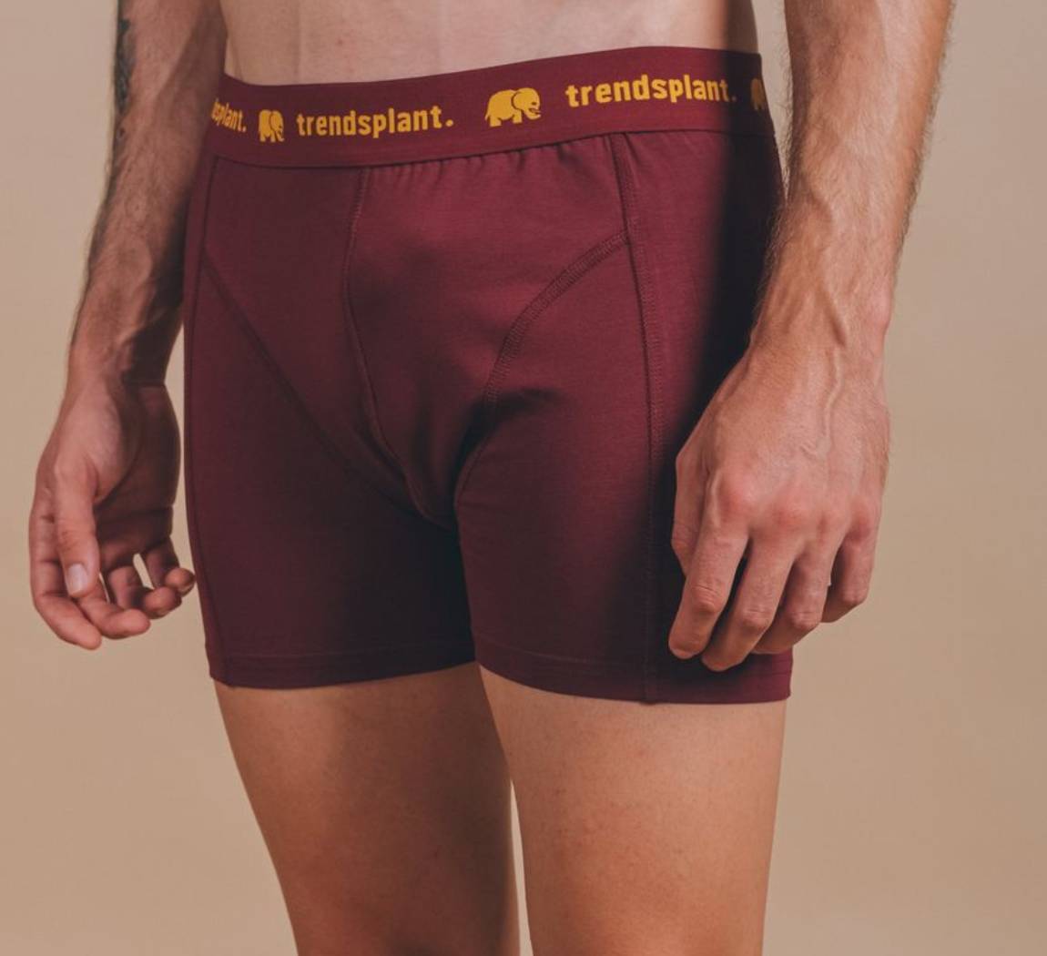 Vêtement Trendsplant Organic Essential Boxer Briefs